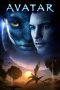 Avatar Avatar
